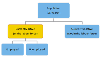Labour force framework
